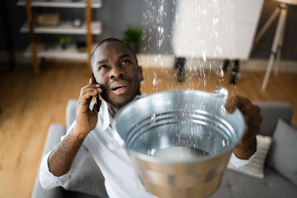 Best Residential water damage restoration  in Andusia, AL