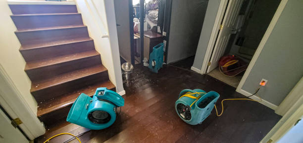Best Carpet water damage restoration  in Andusia, AL