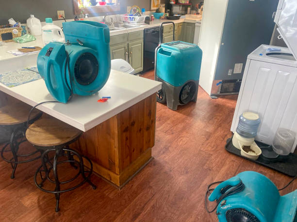 Best Local water damage restoration  in Andusia, AL