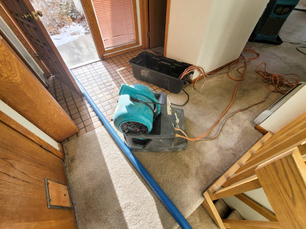 Best Commercial water damage restoration  in Andusia, AL