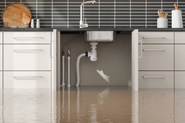 Best Residential water damage restoration  in Andusia, AL