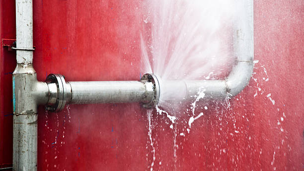 Best Flood damage cleanup  in Andusia, AL