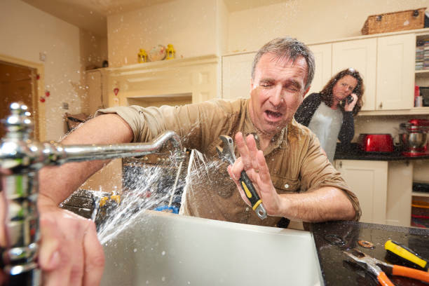 Best Ceiling water damage repair  in Andusia, AL